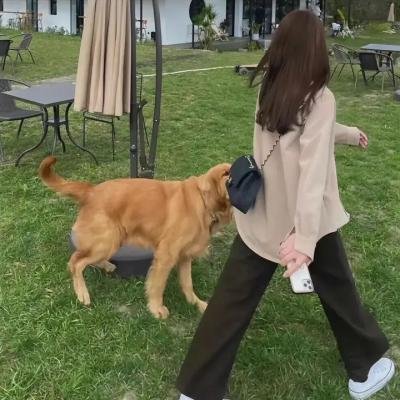 糊涂保姆